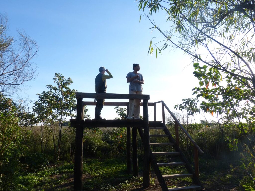 Ibera Connecta - esteros del Ibera - Organiza tu viaje 15