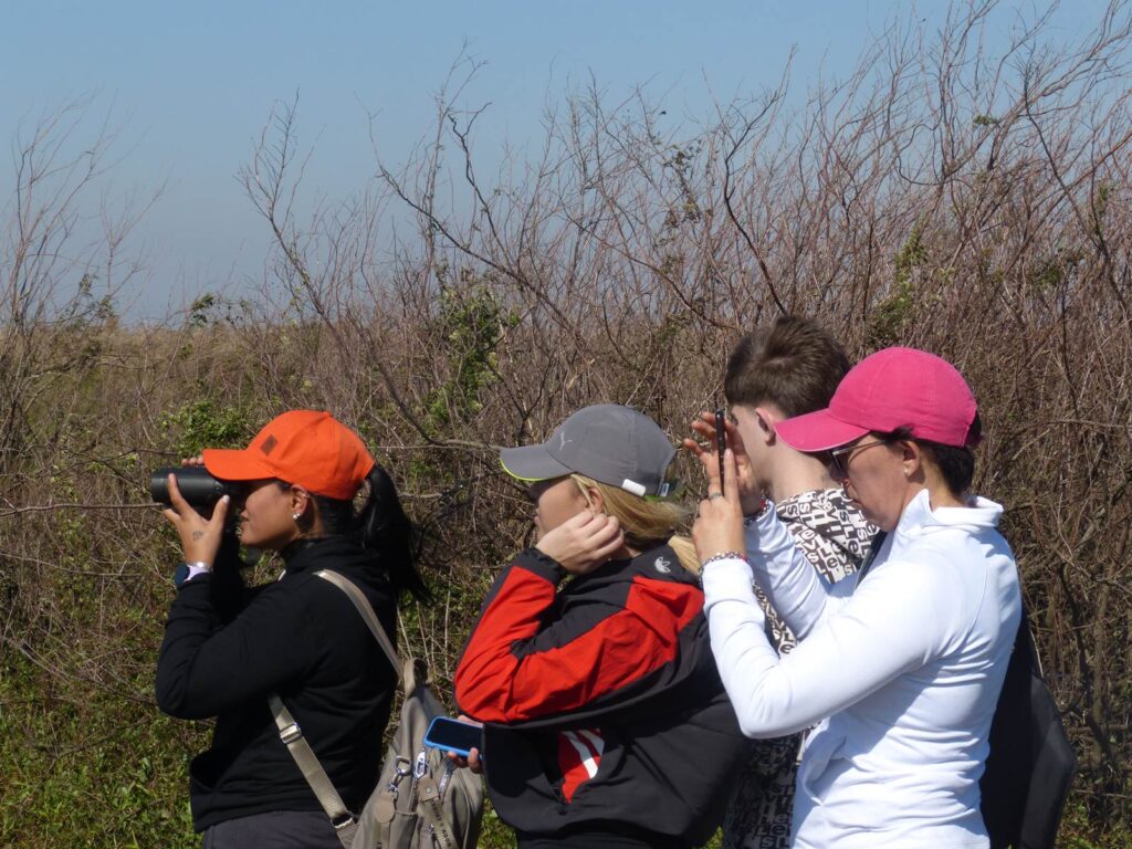 Ibera Connecta - esteros del Ibera - Organiza tu viaje 19