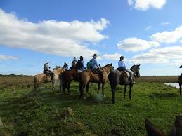 cabalgata esteros del ibera 3