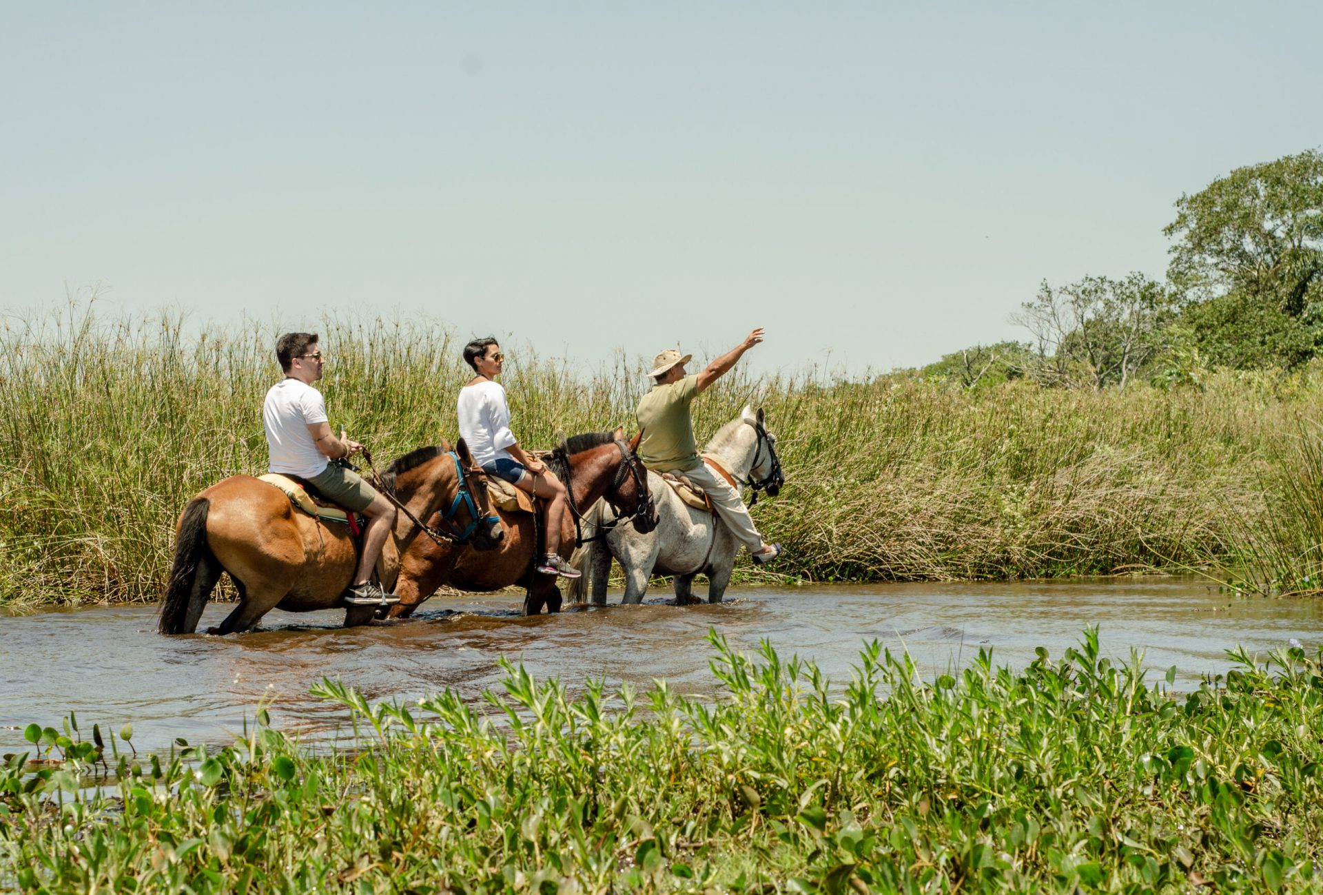 cabalgata esteros del ibera 4